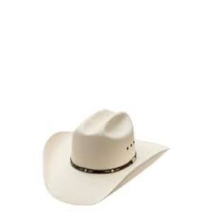 RESISTOL 10X George Strait Lambert Straw Cowboy Hat
